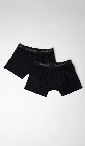 Kit Cueca Boxer Lisa com 2 Peças