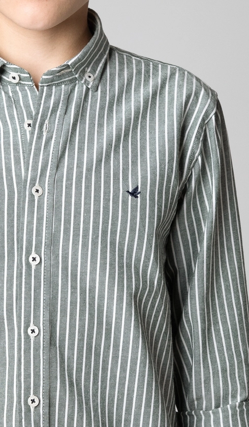 Camisa Manga Longa Listrada Oxford com Bottom Down