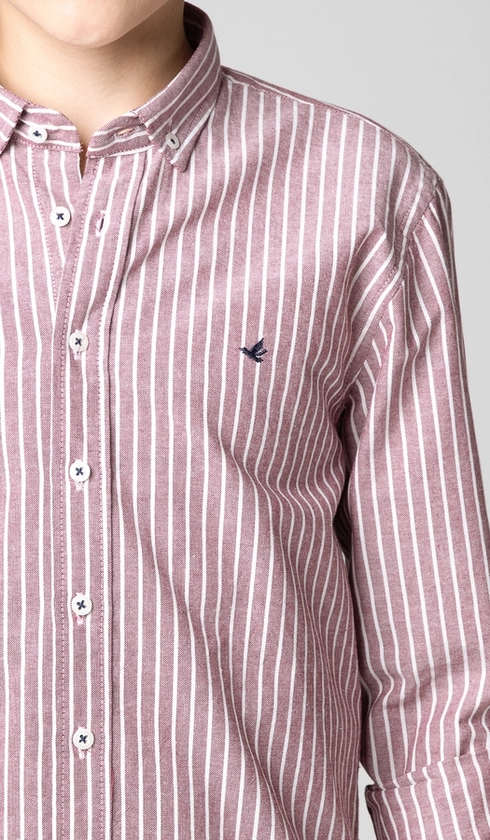 Camisa Manga Longa Listrada Oxford com Bottom Down
